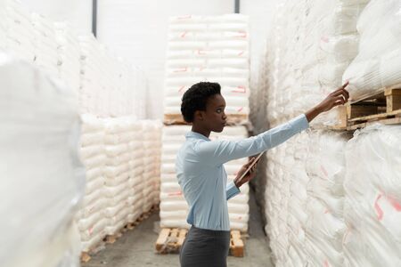 Side view of female manager with digital tablet checking stocks in warehouse. This is a freight...