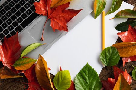 Autumn flat lay with copy space and laptopの写真素材
