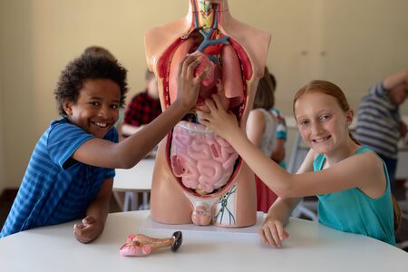 Front view of an African American boy and a Caucasian girl at elementary school placing the organs...