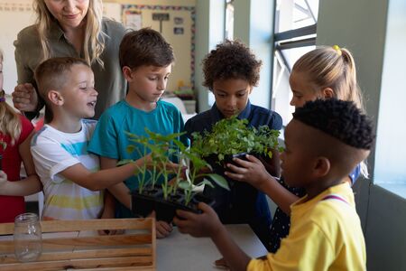 Front view close up of a Caucasian female elementary school teacher with long blonde hair and a diverse group of schoolchildren standing together looking at plants and talking during a nature study lesson in an elementary school classroomの写真素材