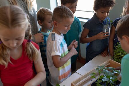 Front view close up of a diverse group of schoolchildren standing together looking at plants and...