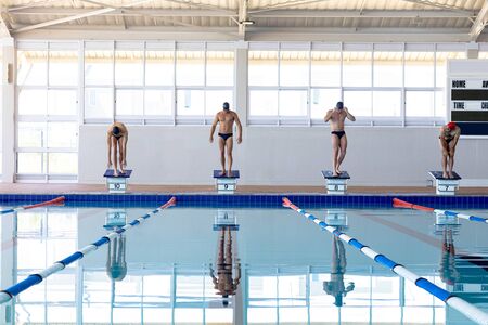 Front view of four male swimmers at swimming pool, standing on starting blocks, ready to plunge into water. Swimmers training hard for competition.の写真素材