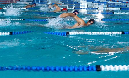 Side view of multi-ethnic group of male swimmers at swimming pool, racing each other in lanes, swimming crawl. Swimmers training hard for competition.の写真素材