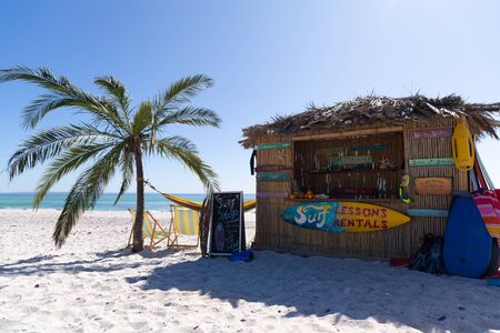 Magnificent view of a beach with a palm tree and a surf shop with hammock hanging between themの写真素材