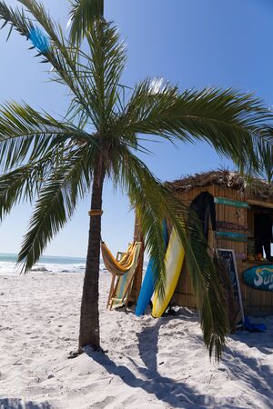 Magnificent view of a beach with a palm tree and a surf shop with hammock hanging between them