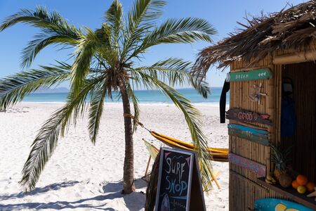 Magnificent view of a beach with a palm tree and a surf shop with hammock hanging between them