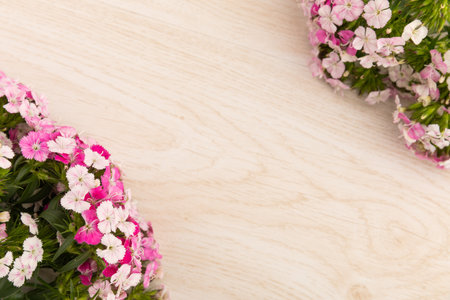 Two bunches of pink flowers in corners on wooden background. celebration romance flower spring nature freshness copy space.の写真素材