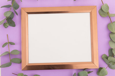 Wooden frame with white background surrounded by green leaves on purple. flower spring summer nature freshness copy space.の写真素材