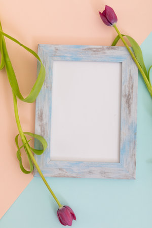Rustic wooden frame with white background and pink tulips on blue and orange. flower spring summer...