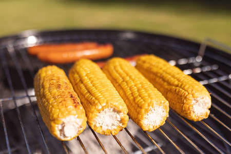 Close up of fresh grilled corns and tasty sausages on barbecue. Hanging out and relaxing outdoors in summer.の写真素材