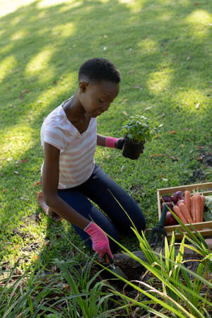 African american woman gardening on sunny garden terrace. staying at home in isolation during...