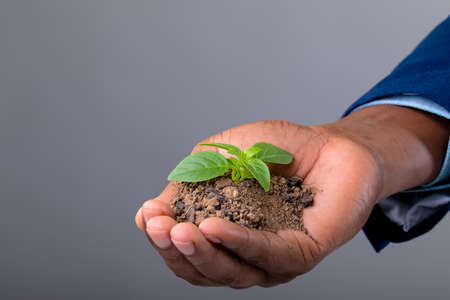 Close up of businessman holding a seedling against grey background. business growth and investment...