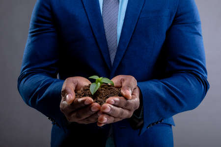 Mid section of african american businessman holding a seedling against grey background. business growth and investment conceptの写真素材