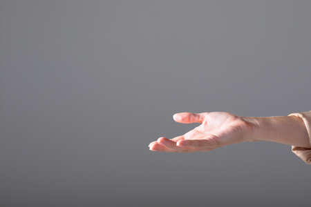 Midsection of caucasian businesswoman reaching with her hand, isolated on grey background. business, technology, communication and growth concept.の写真素材
