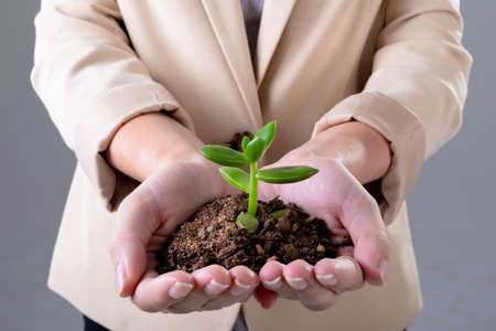 Midsection of caucasian businesswoman holding plant seedling, isolated on grey background. business technology, communication and growth concept.の写真素材