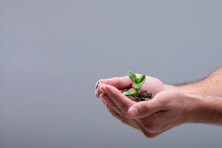 Midsection of caucasian businessman holding plant seedling, isolated on grey background. business technology, communication and growth concept digitally generated composite image.の写真素材