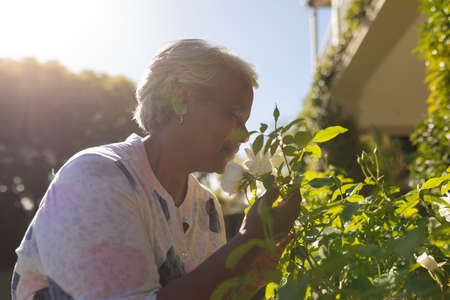 Senior african american woman smelling flowers in sunny garden. retreat, retirement and happy senior lifestyle concept.の写真素材