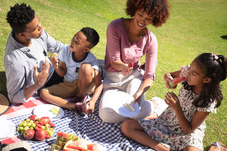 Happy african american couple with son and daughter outdoors, having picnic in sunny garden. family enjoying quality free time together.の写真素材