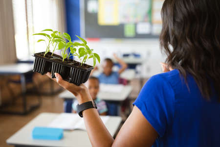 Rear view of female teacher holding plant seedlings while teaching in the class at elementary school. school and education conceptの写真素材