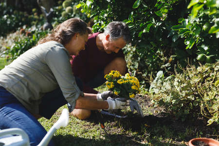 Happy senior caucasian couple gardening together in sunny garden. healthy retirement lifestyle,...