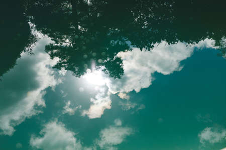 Close up of trees reflected in swimming pool water in sunny garden. relaxation and lifestyle, spending time at home.の写真素材