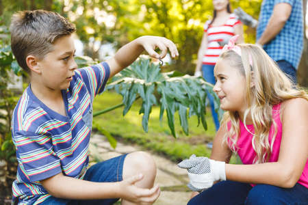 Caucasian son and daughter working in garden with mother and father in background. family enjoying...
