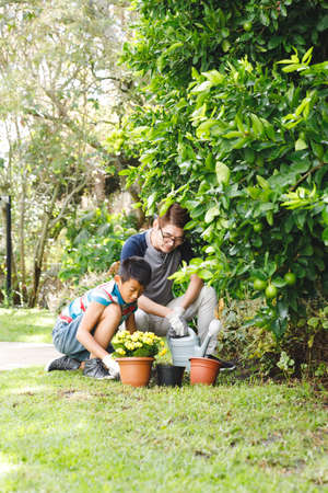 Happy asian father and son smiling, wearing gloves and planting plants together in garden. family leisure time at home gardening.の写真素材