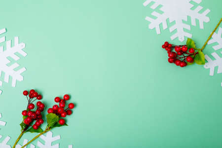 Composition of branches with berries, snowflakes and copy space on green background. christmas,...