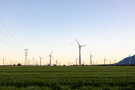 General view of wind turbines in countryside landscape with cloudless sky. environment,...