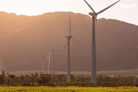 General view of wind turbines in countryside landscape with cloudless sky. environment,...