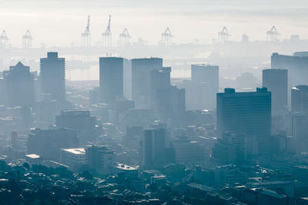 General view of cityscape with multiple modern buildings and cranes in the foggy morning. skyline...
