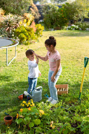 Happy caucasian sister and brother gardening together, giving high five. family time, having fun...