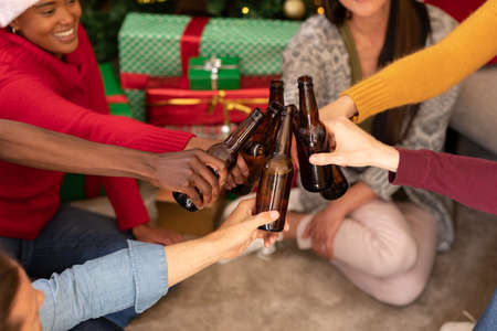 Happy diverse female and male friends toasting with beer at christmas time. christmas festivities, celebrating at home with friends.の写真素材