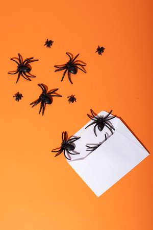 Composition of halloween decorations with black spiders and envelope on orange background. halloween...