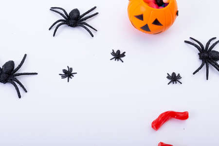 Composition of halloween spiders and pumpkin bucket with sweets with copy space on white background. halloween tradition and celebration concept.の写真素材
