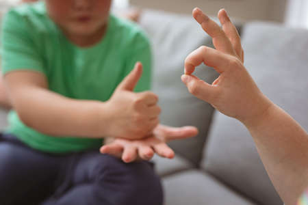 Two caucasian boys communicating using sign language while sitting on the couch at home. sign language learning conceptの写真素材