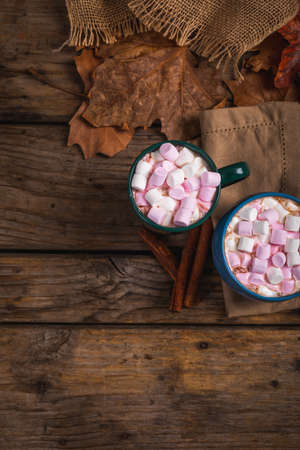 Hot chocolate drink filled with marshmallows in mugs by cinnamon, autumn leaves with copy space. food, drink, and cafe culture.の写真素材