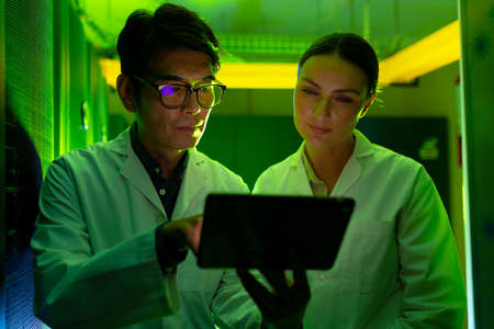 Diverse male and female engineers wearing aprons using digital tablet in computer server room. database server management and maintenance conceptの写真素材