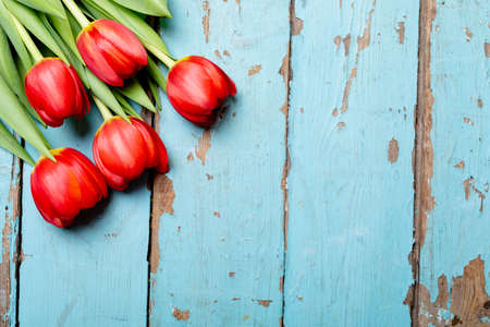 Overhead view of fresh red tulip flowers bunch on blue wooden table with copy space. nature and valentine gift.の写真素材