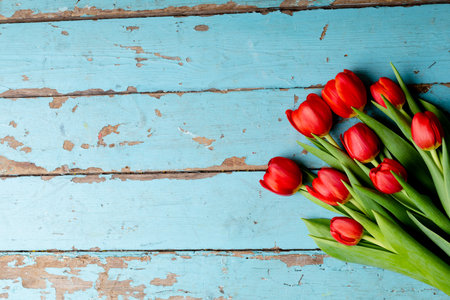 Directly above shot of fresh red tulips on old blue wooden table with copy space. valentine&#39;s day and flowers.の写真素材
