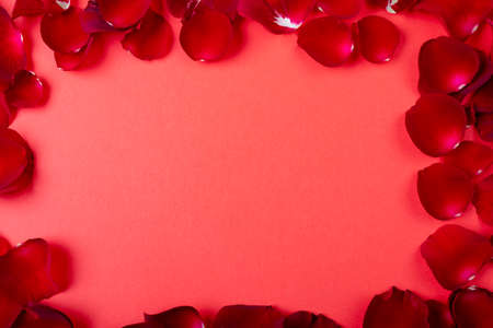 Directly above shot of red rose petals arranged on coral background, copy space. valentine's day and love concept.の写真素材