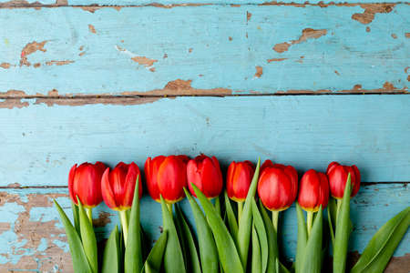 Overhead view of fresh red tulips arranged on wooden table with copy space. valentine&#39;s day and flowers.の写真素材