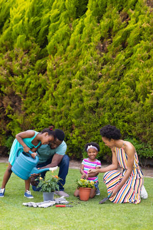 Full length of happy african american family watering plants together in backyard garden. family, love and togetherness concept, unaltered.の写真素材