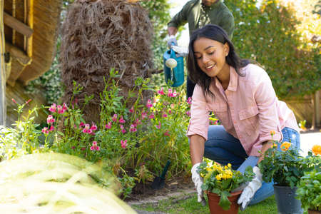 Smiling young african american woman planting flowers while gardening at backyard. people, nature and hobbies, unaltered.の写真素材