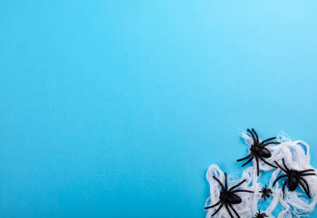 Composition of halloween decoration with spiders and copy space on blue background. halloween tradition and celebration concept digitally generated image.の写真素材