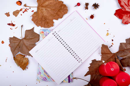 Composition of halloween decoration with leaves and notebook with copy space on white background....