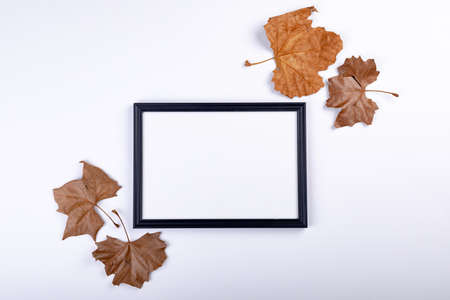 Composition of halloween decoration with leaves and frame with copy space on white background. halloween tradition and celebration concept digitally generated image.の写真素材