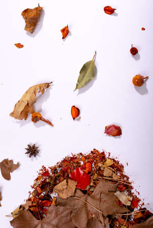 Composition of halloween decoration with dry leaves and seeds on white background. horror, fright, halloween tradition and celebration concept digitally generated image.の写真素材