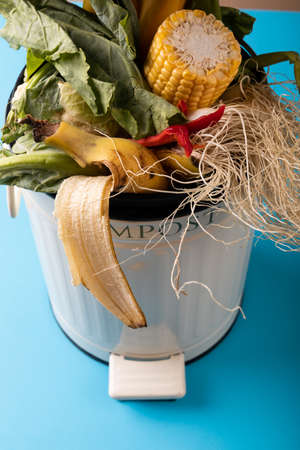 High angle view of organic waste in compost bin on blue background. unaltered, decomposing,...