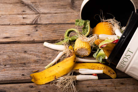 Overhead view of spilled organic waste in compost bin over wooden table. unaltered, decomposing,...